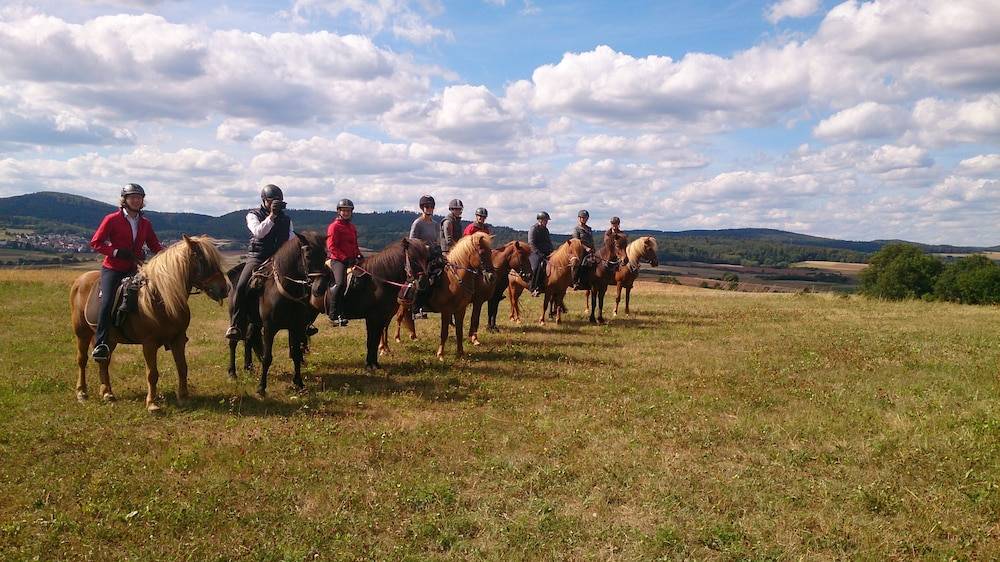 Horseback riding