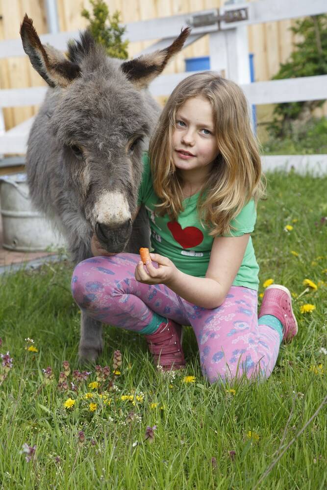 Childrens Activities