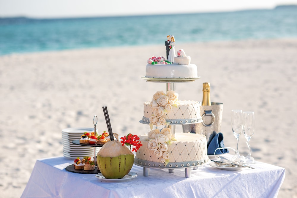 Outdoor wedding area