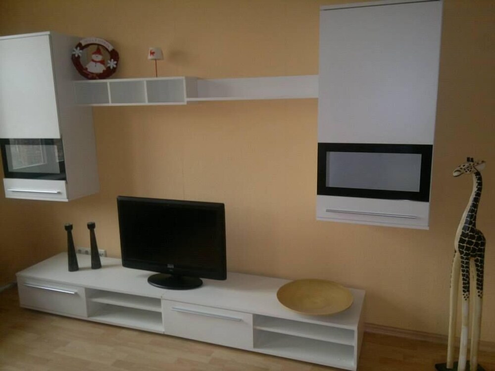 Television