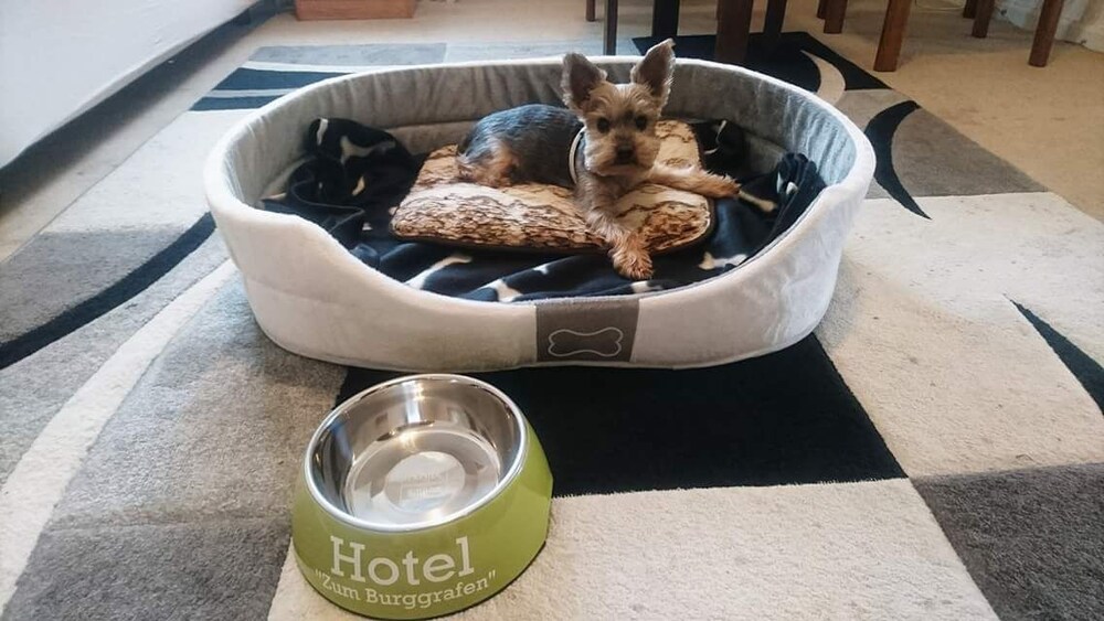 In-Room Amenity