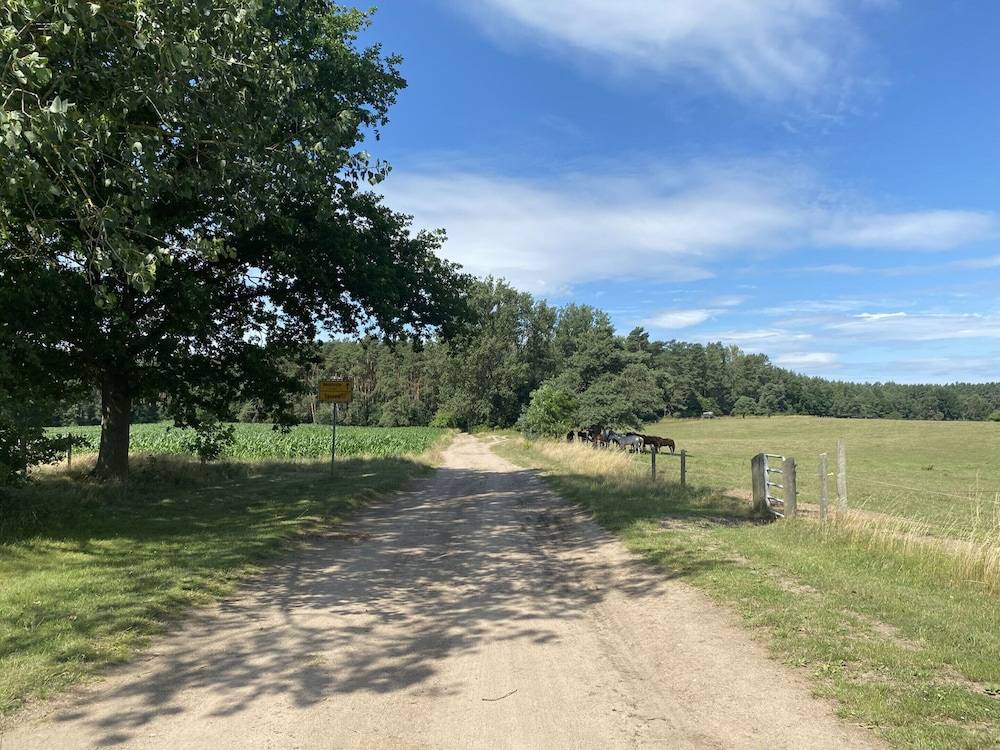 View from property