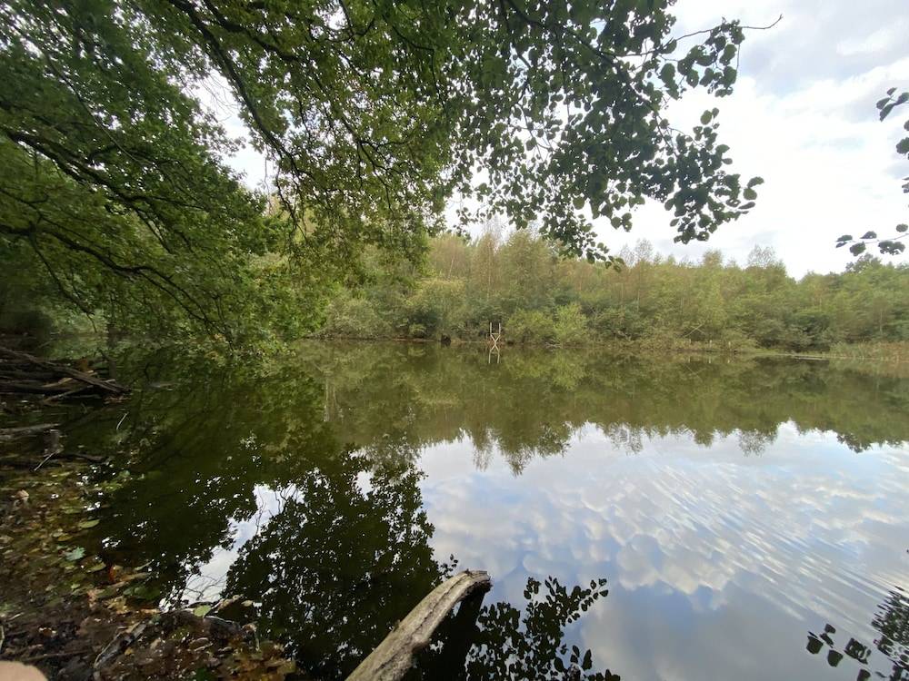 Land view from property