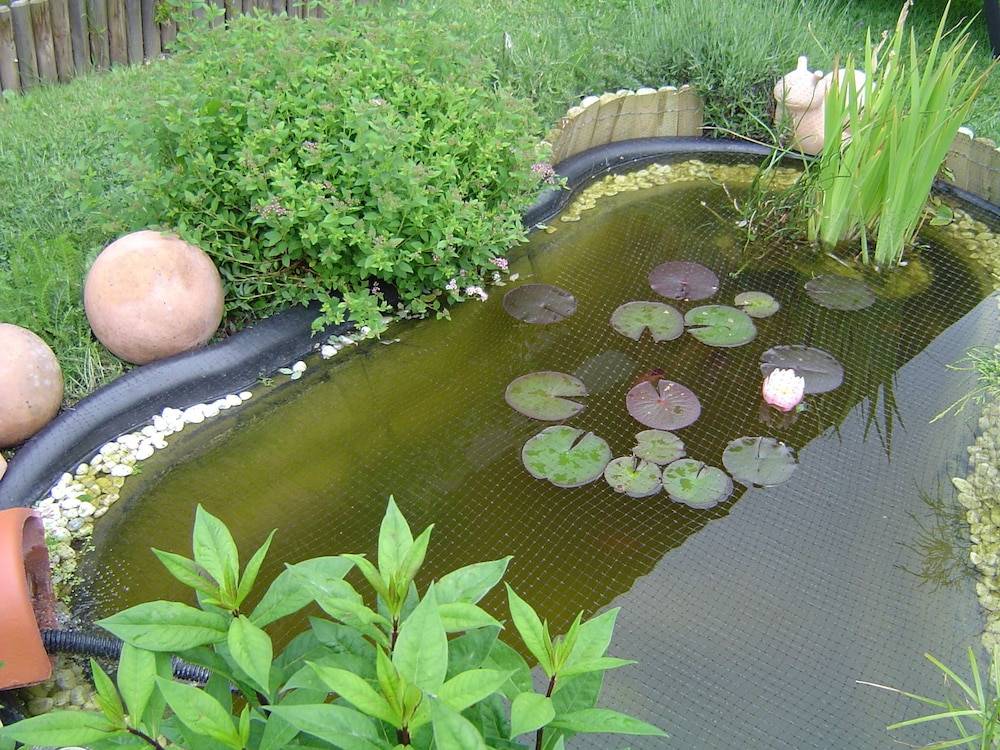 Fountain