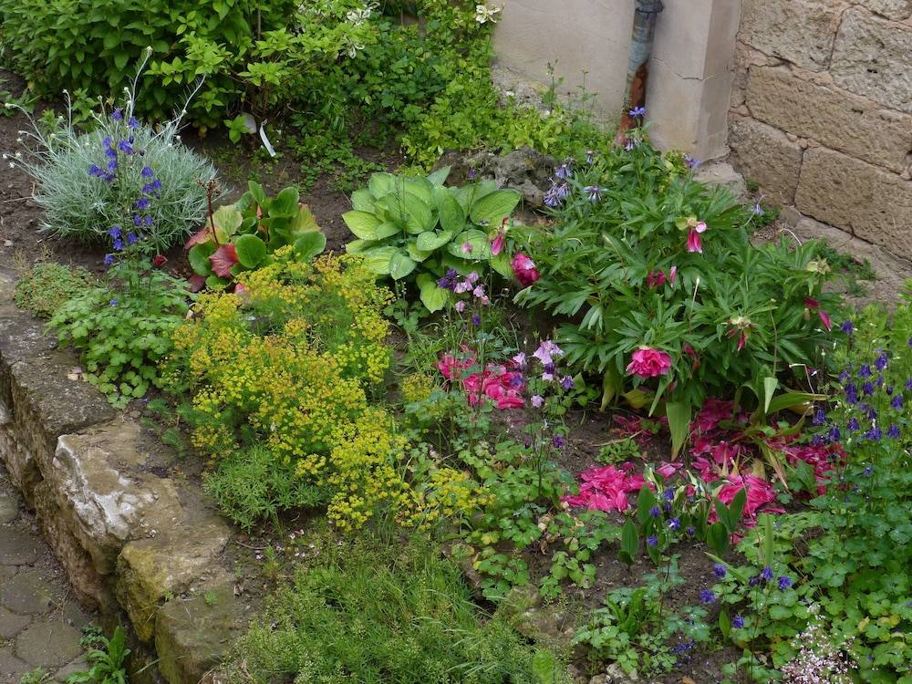 Garden view