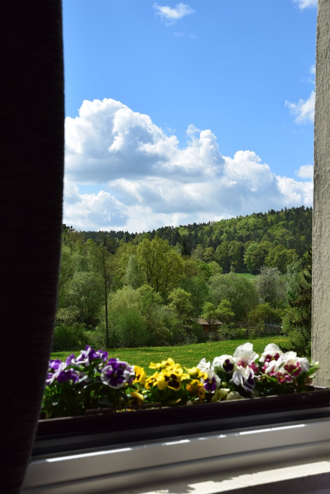 View from room