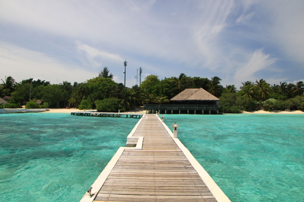 Dock