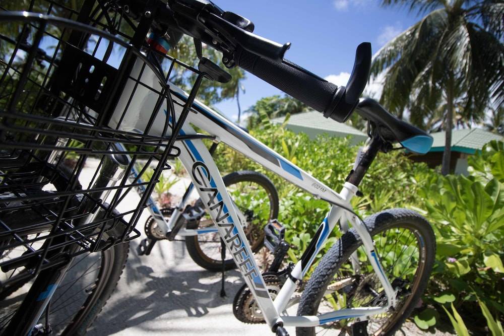 Bicycling