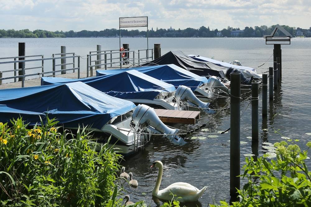 Dock