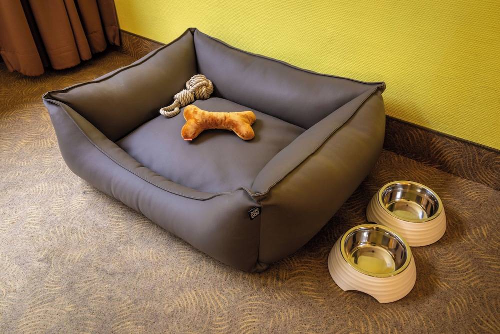 Pet-friendly