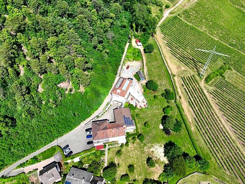 General view