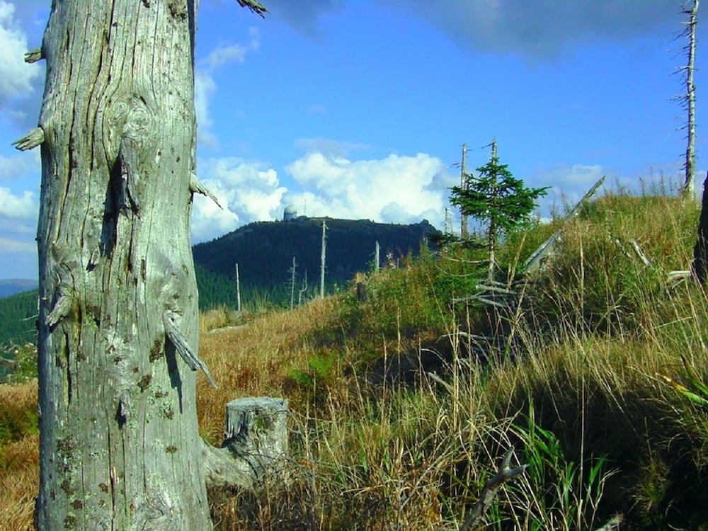 Hiking