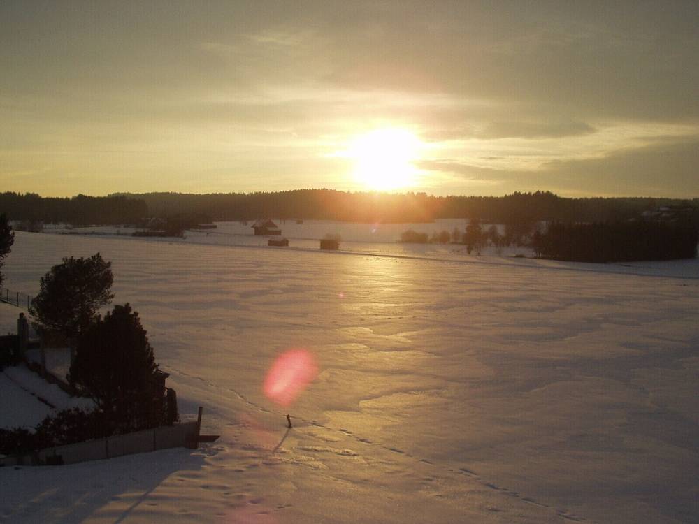 Snowshoeing