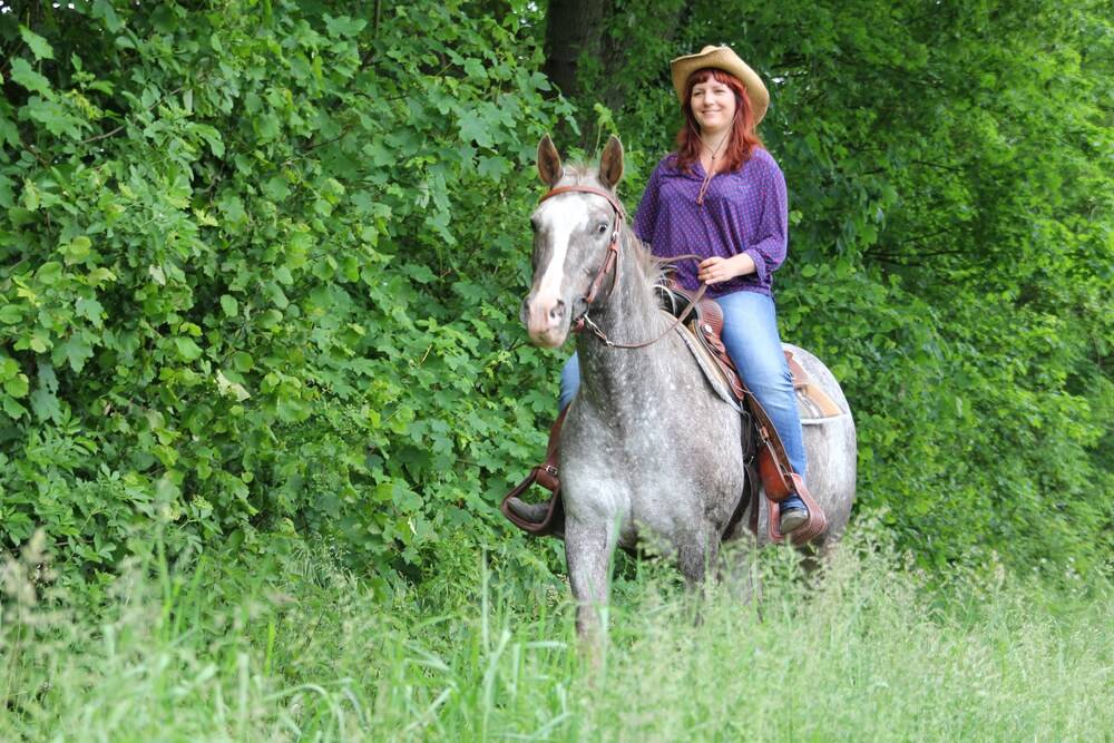 Horse Riding