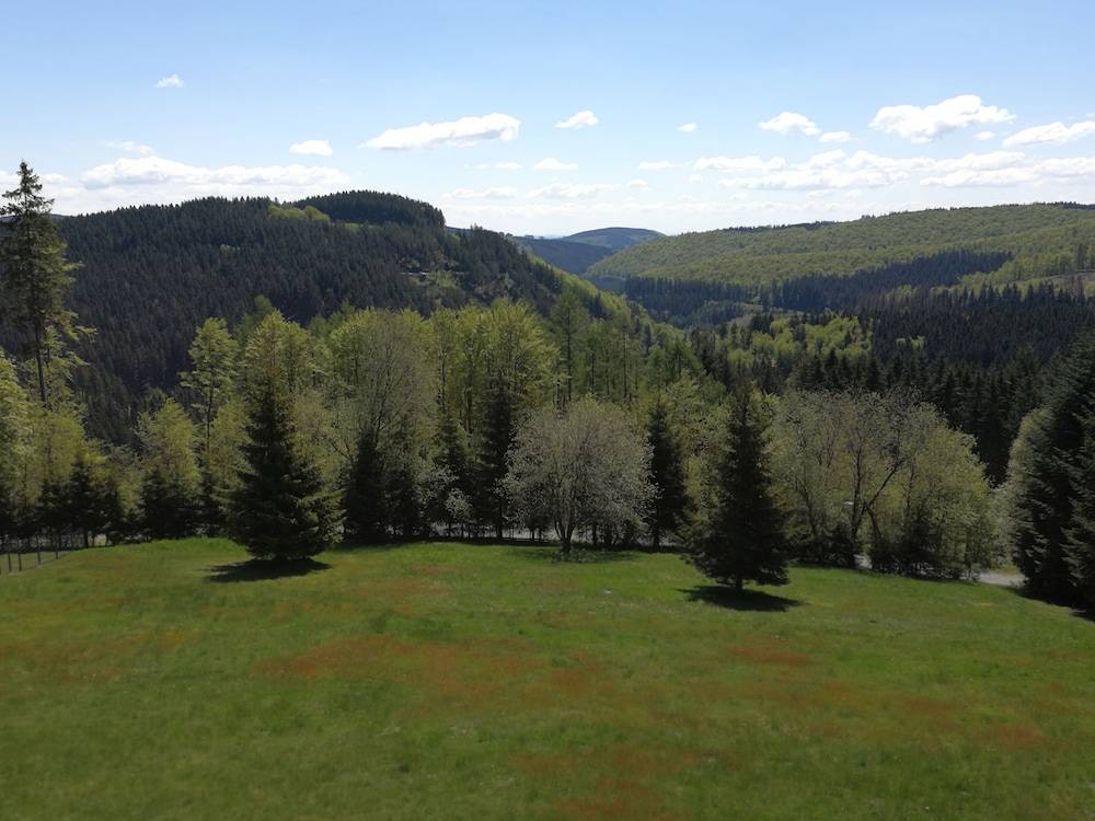 View from room