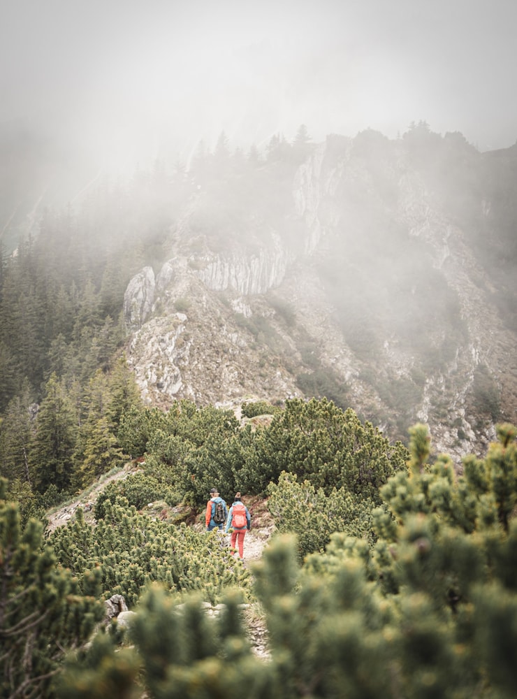 Hiking