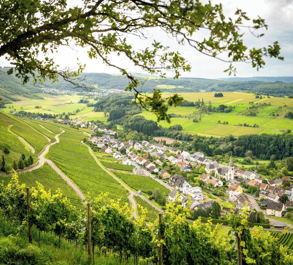 Land view from property