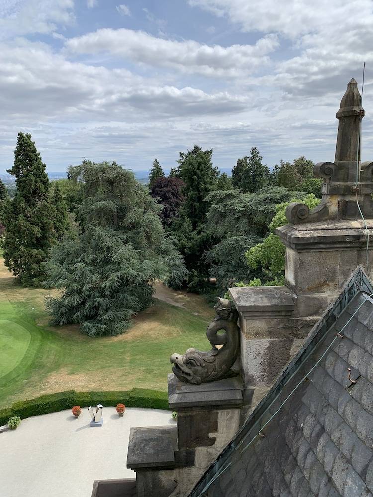 View from room