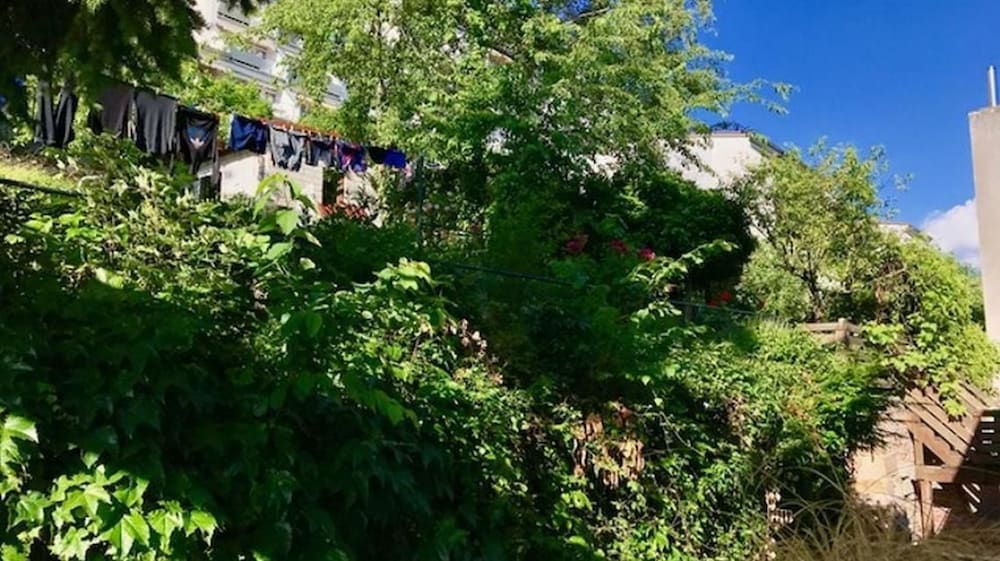Garden view