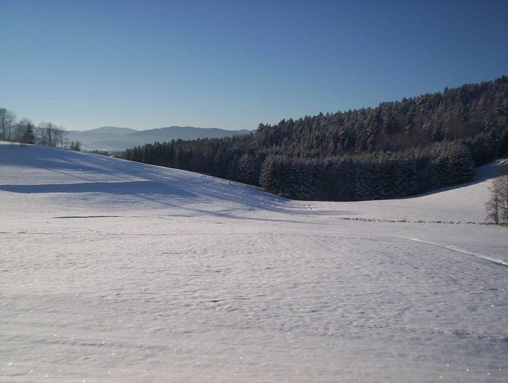View from property