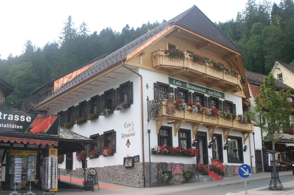 Primary image