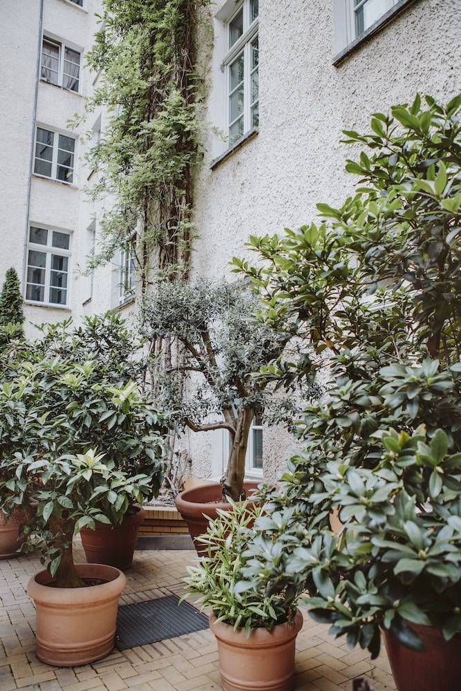Courtyard view