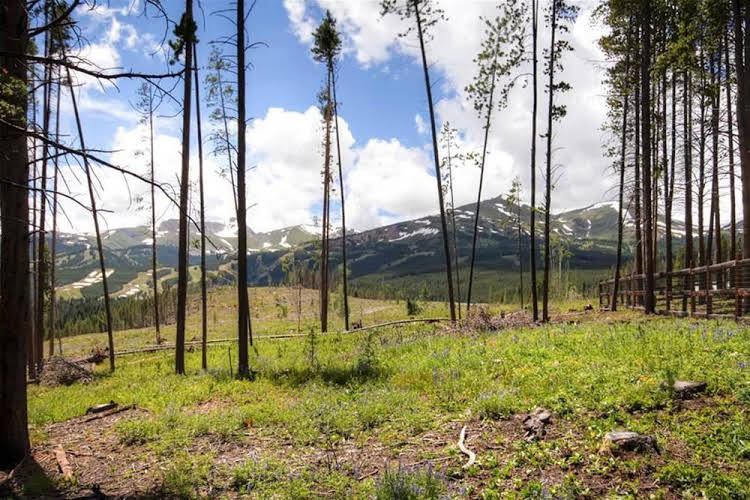 Seventh Heaven by Pinnacle Lodging - photo 3