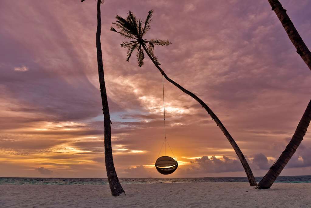 ISLAND SUNSET