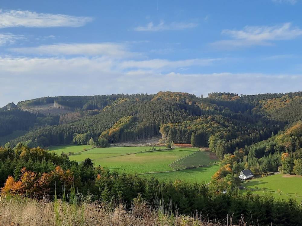 View from property