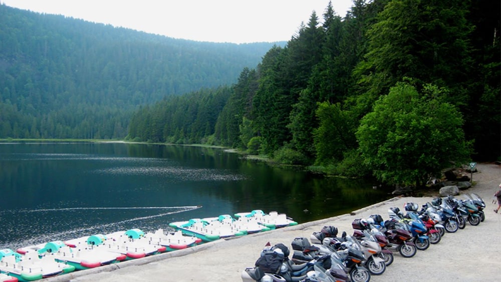 Lake view