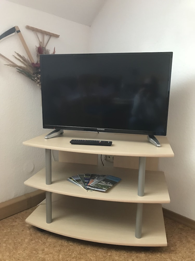 Television