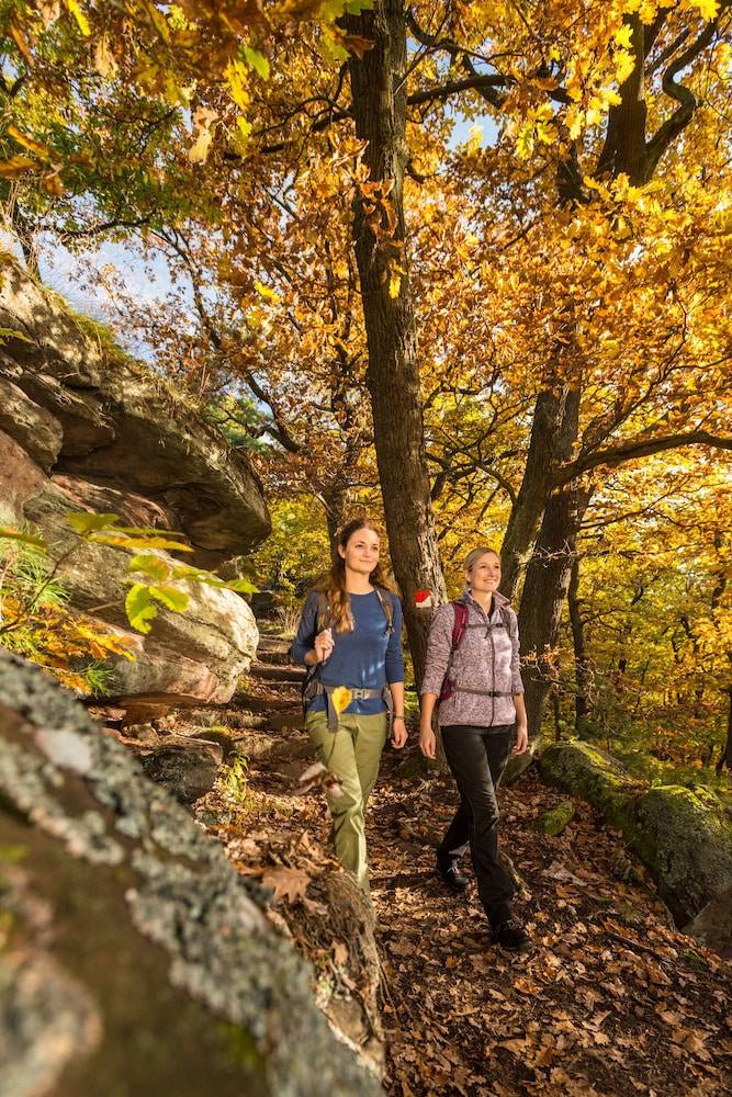 Hiking