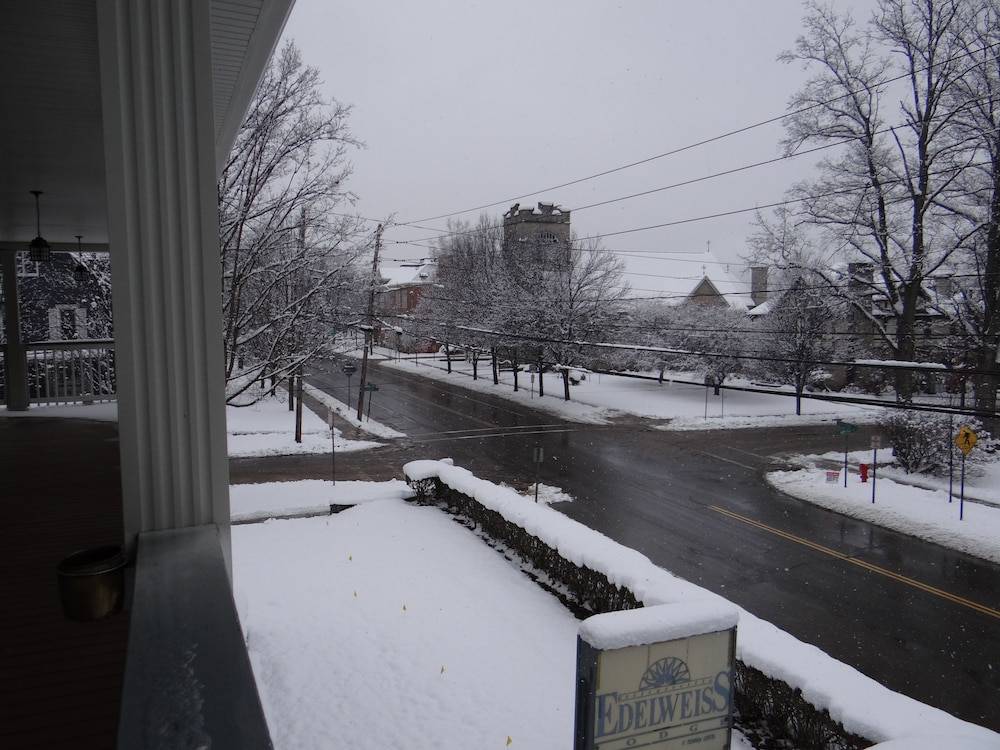 View from room