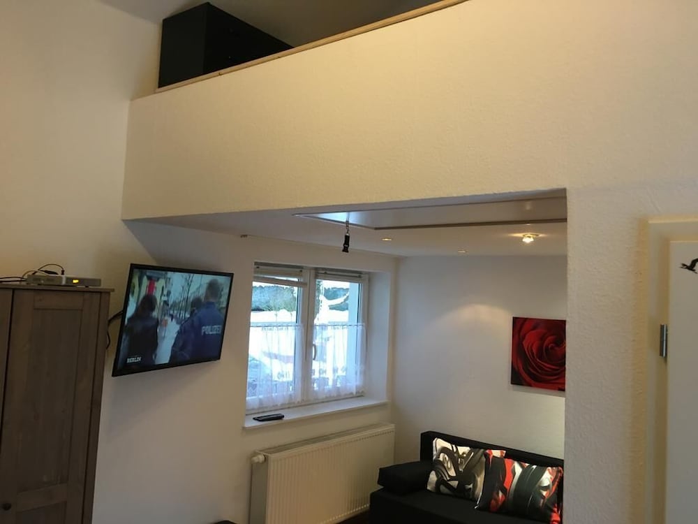 Television