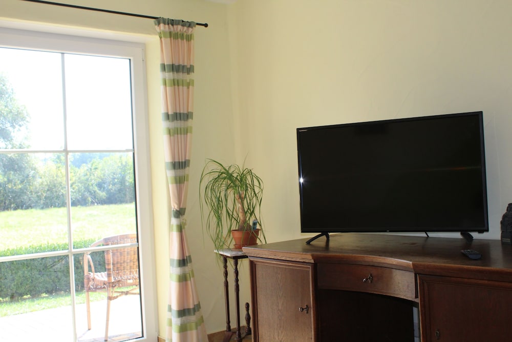 Television