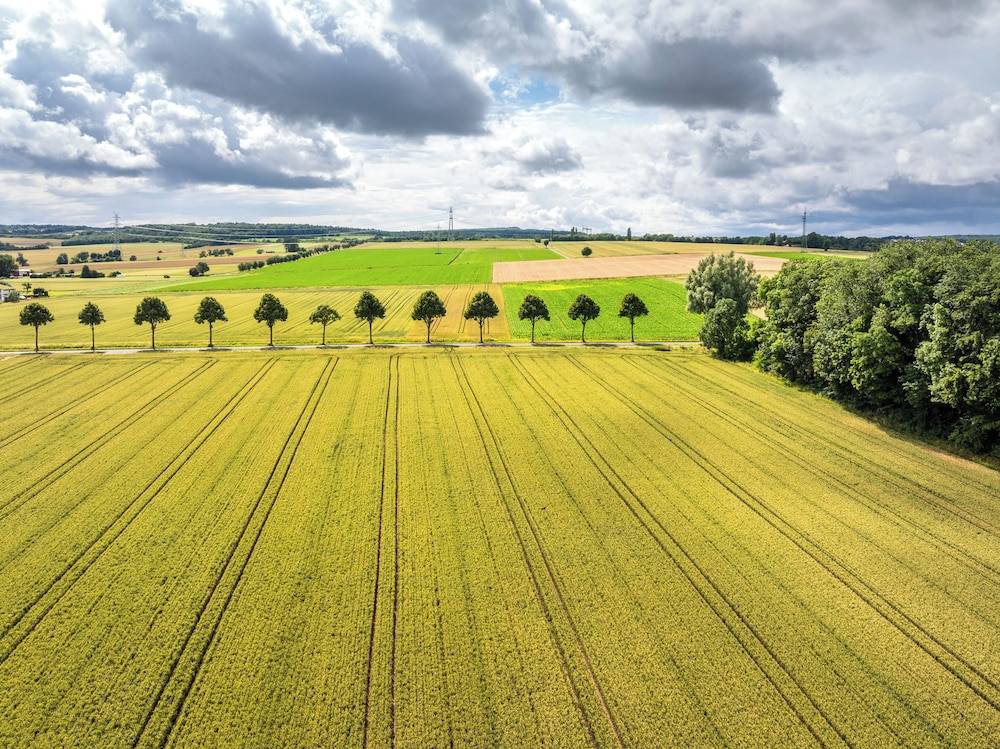 Land view from property