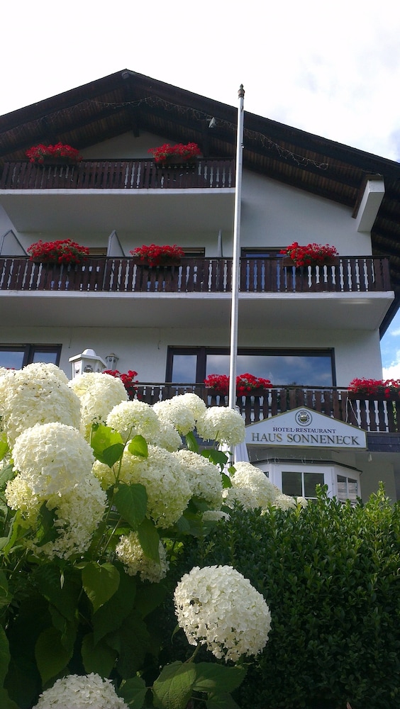 Sonneneck