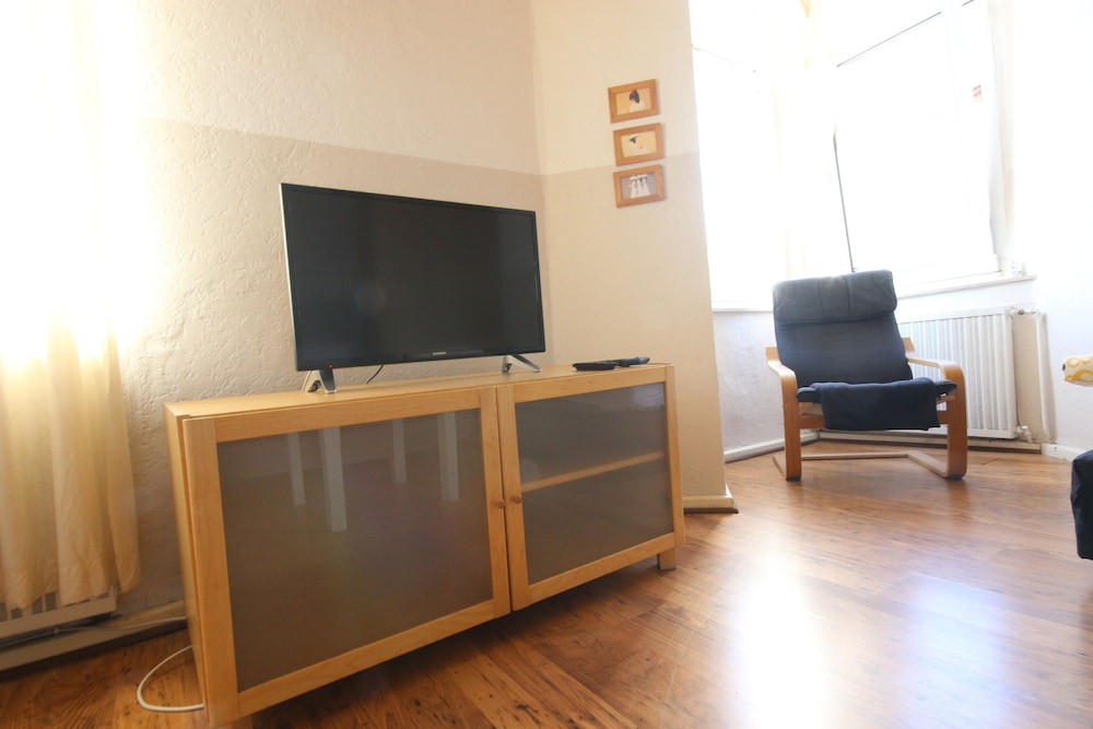 Television