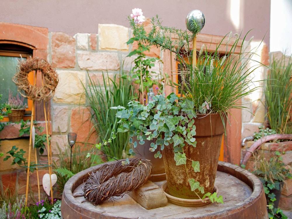 Courtyard
