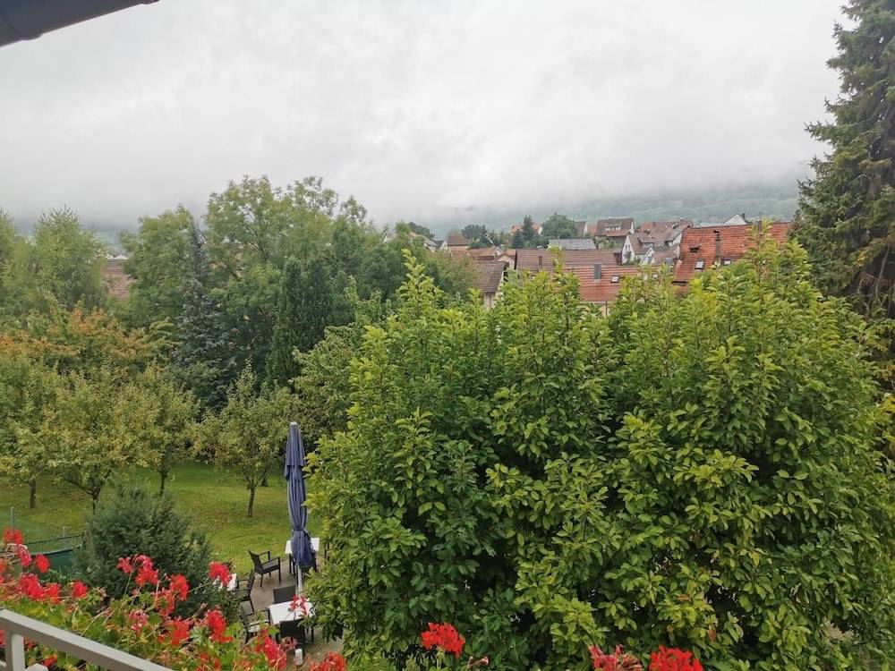 Garden view