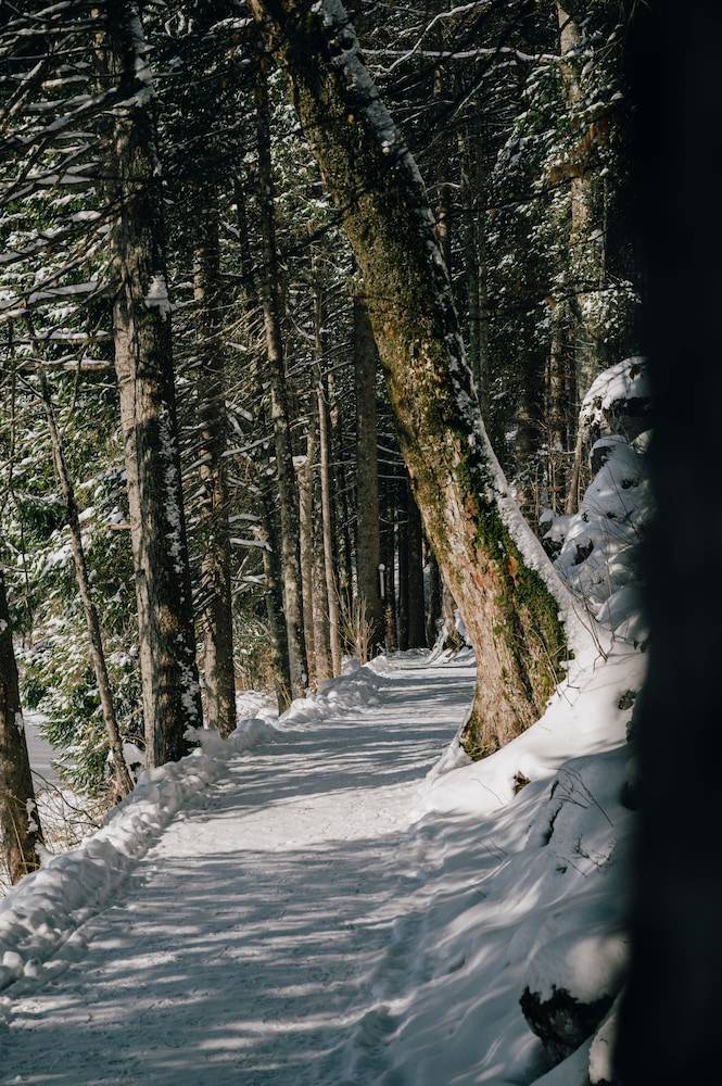Hiking