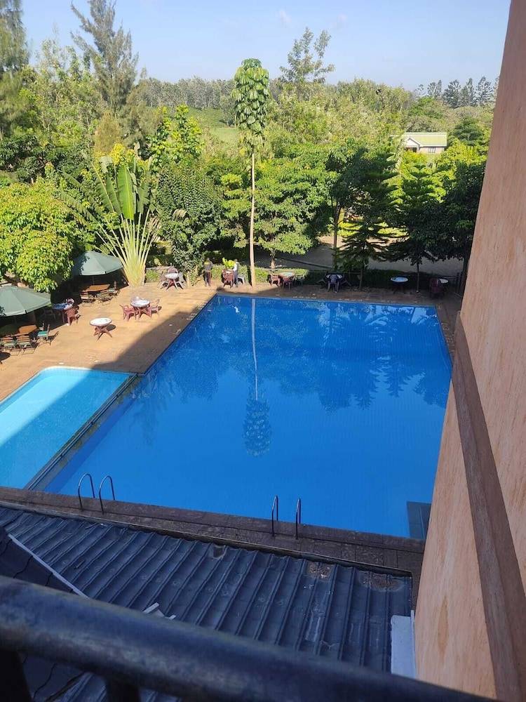 Swim-up bar