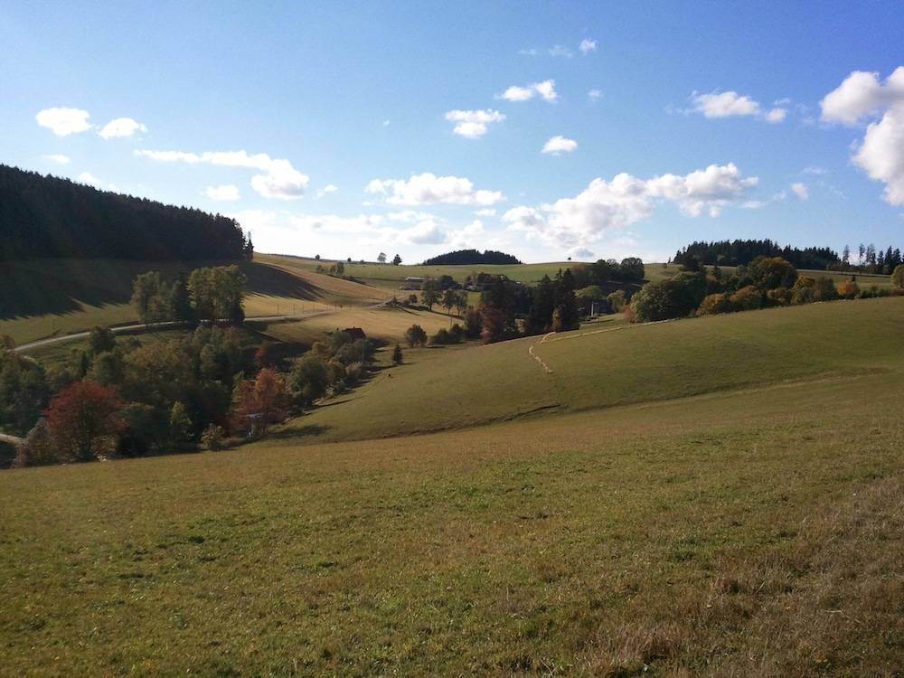 View from property