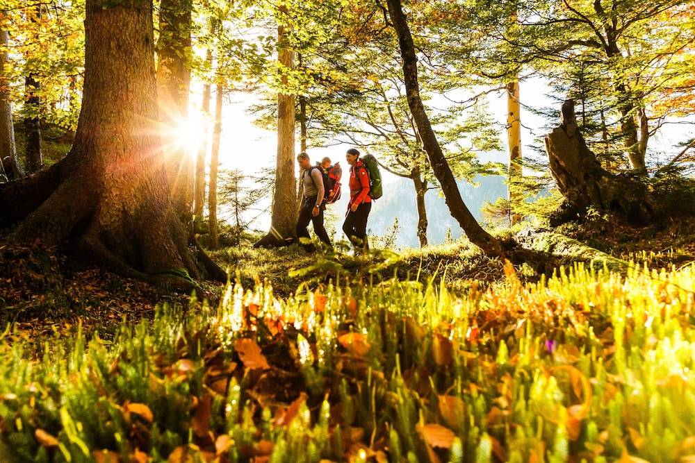 Hiking