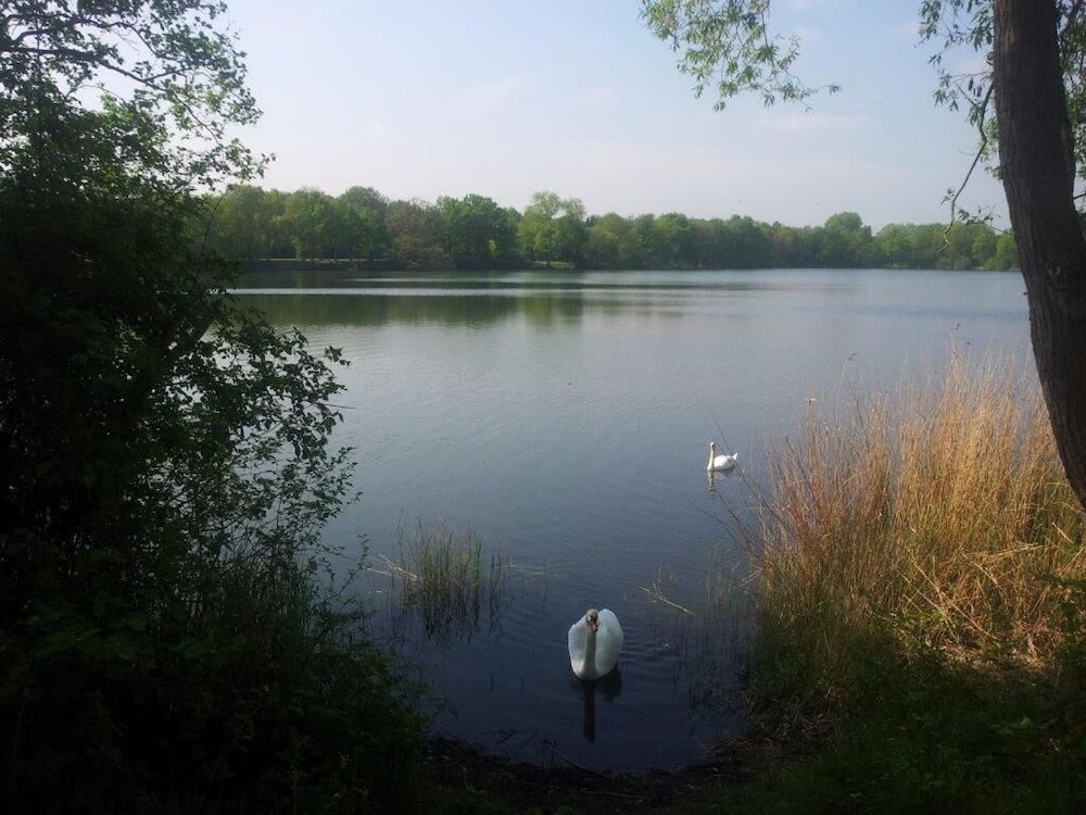 Lake