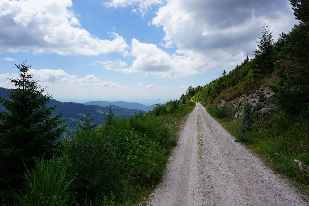 Hiking
