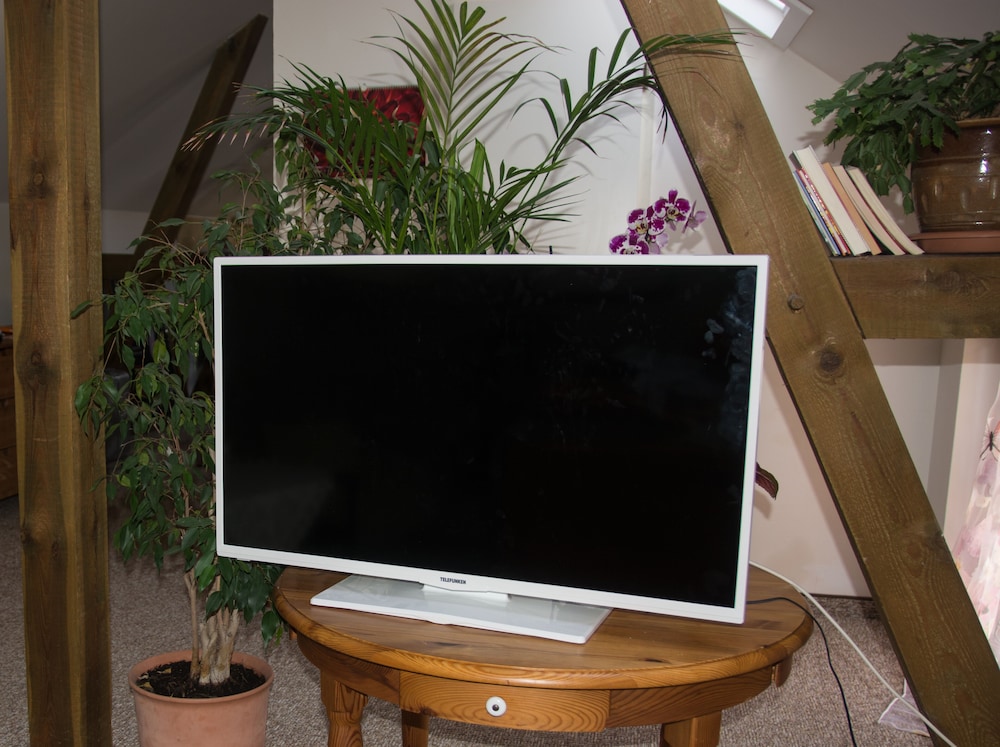 Television