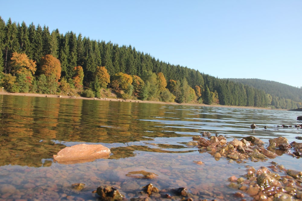 Lake view