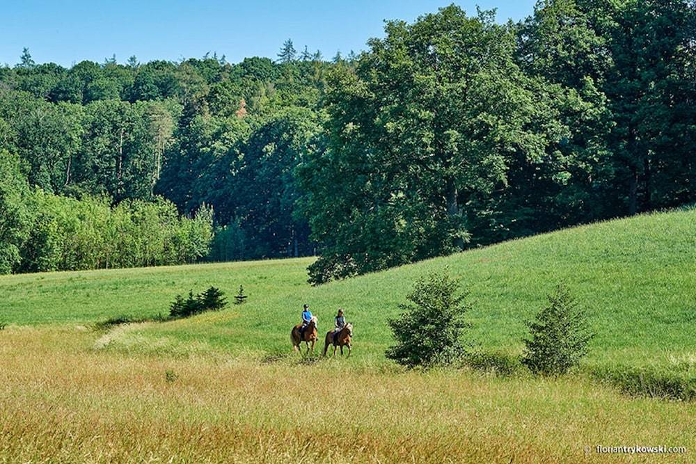 Horseback riding