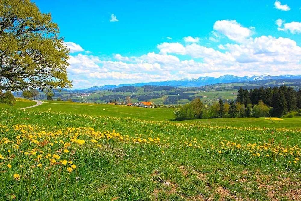 Land view from property